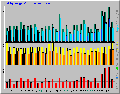 Daily usage for January 2026
