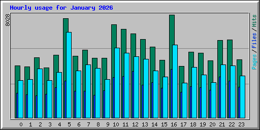 Hourly usage for January 2026