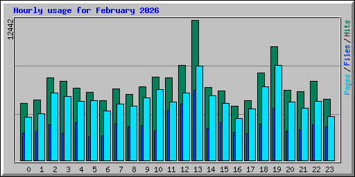 Hourly usage for February 2026