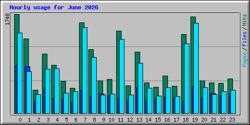Hourly usage for June 2026