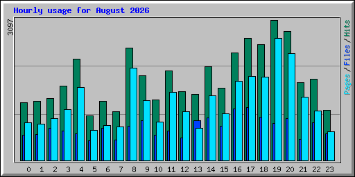 Hourly usage for August 2026